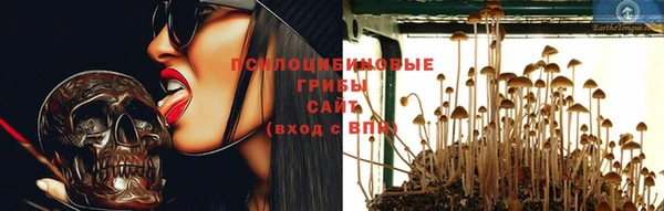 не бодяженный Зеленодольск