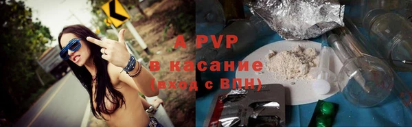 крисы Зеленокумск