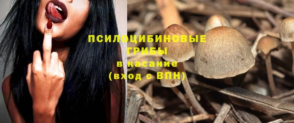 не бодяженный Зеленодольск