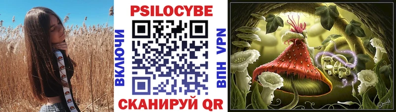 Псилоцибиновые грибы Psilocybe  Купить закладки  Дзержинский 